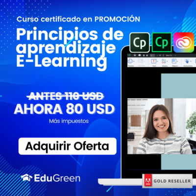 Curso Principios de Aprendizaje E-Learning